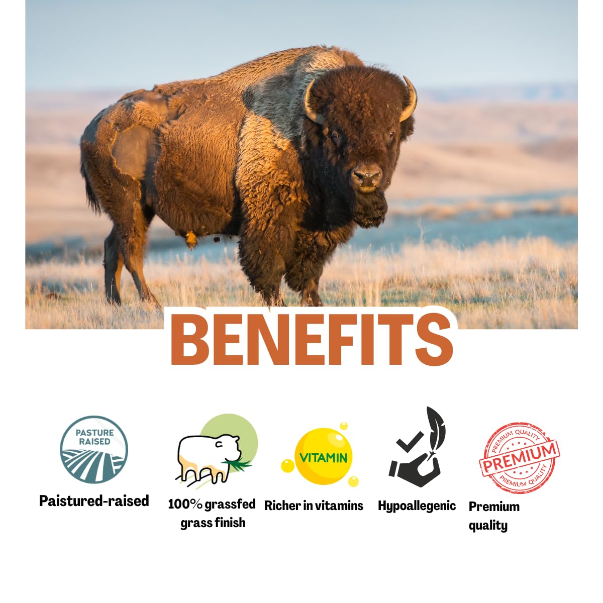 Simple Sophistication BISON EMU HONEY Balm – All-Natural Tallow Skincare (2 oz)