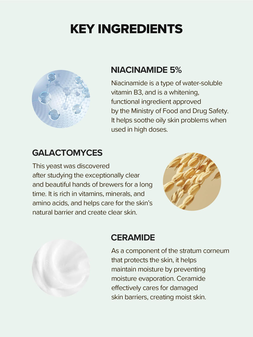 SKINFOOD 1957 Lemongrass Niacinamide 20% Serum — Oily & Sensitive Skin, 50 ml