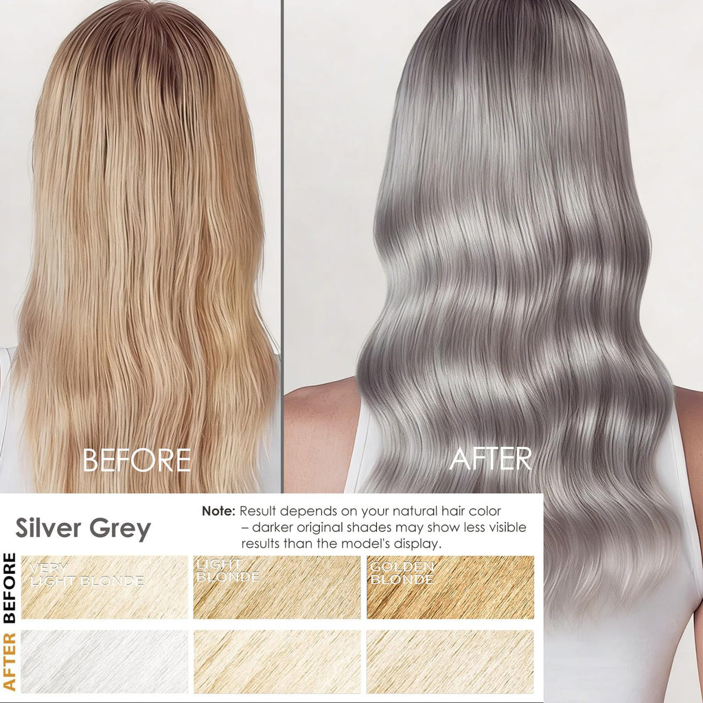 Sklight Hair Dye Shampoo 3-in-1 for Men & Women – Silver Gray Root-to-Tip Color, 16.9 fl oz