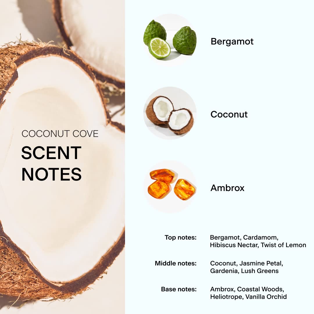 Skylar Coconut Cove EDP – Hypoallergenic, Clean, Vegan (50 mL)