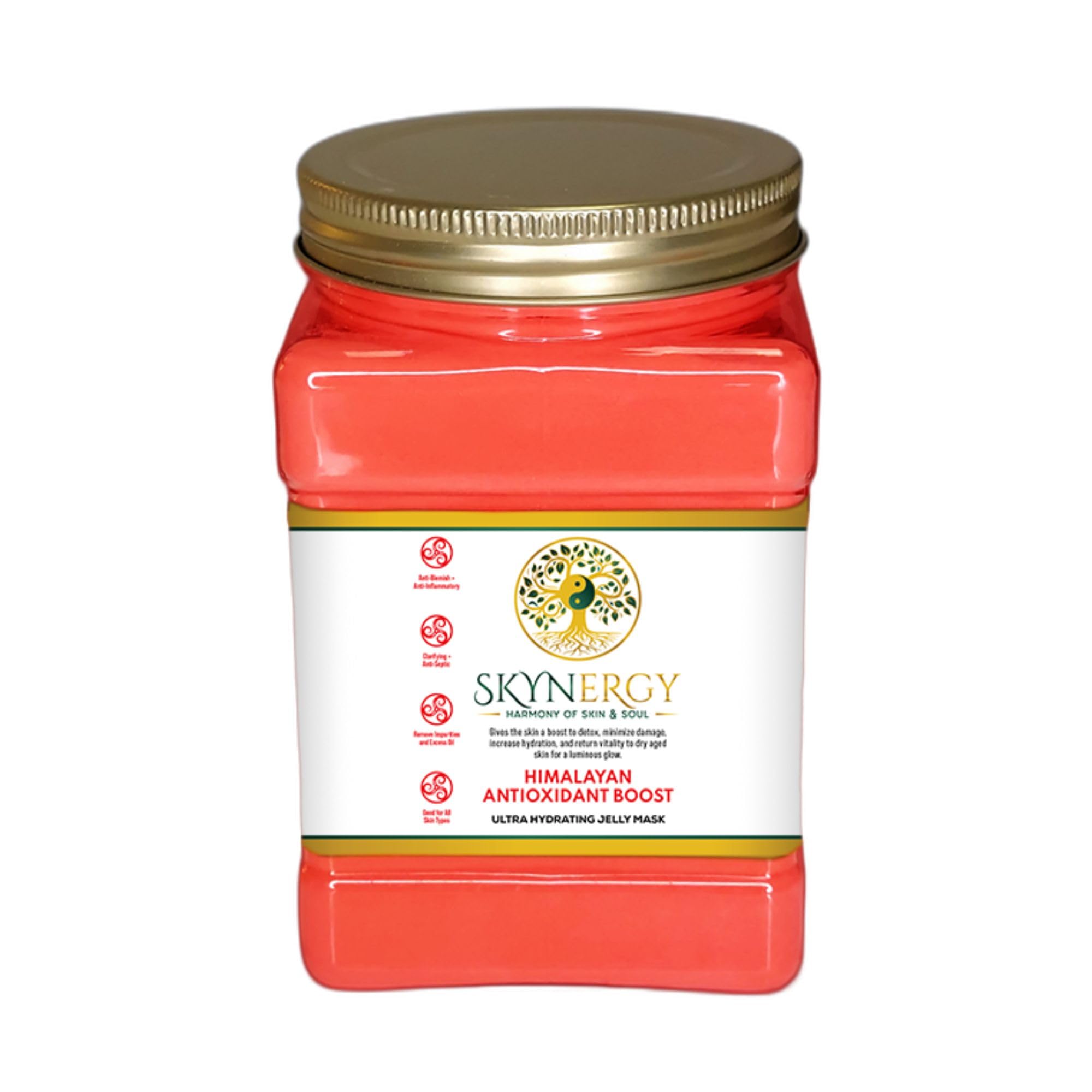 SKYNERGY Himalayan Antioxidant Boost Jelly Mask – Hydration & Glow for All Skin Types | 12 Applications