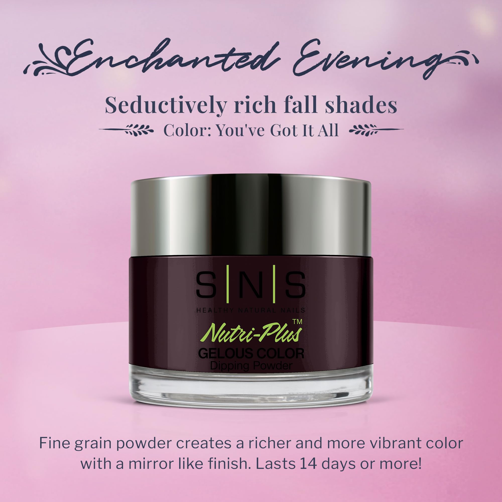 SNS Nail Dip Powder EE05 - Enchanted Evening Purple/Plum | Long-Lasting, Low Odor, No UV Lamp