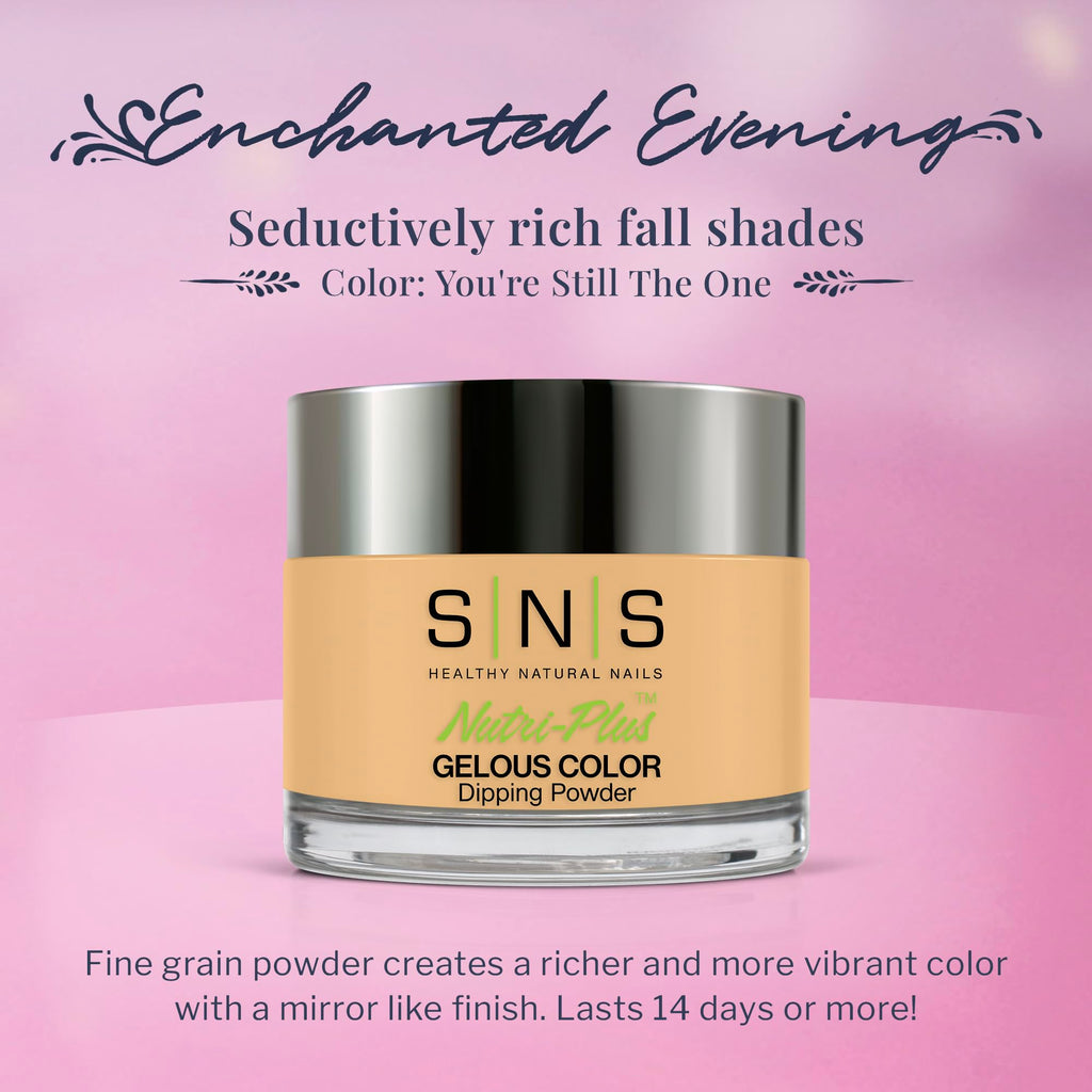 SNS Nail Dip Powder You're Still The One - Natural Nude Tan (EE24) | 1 oz, 14-Day, Low-Odor, No UV Lamp