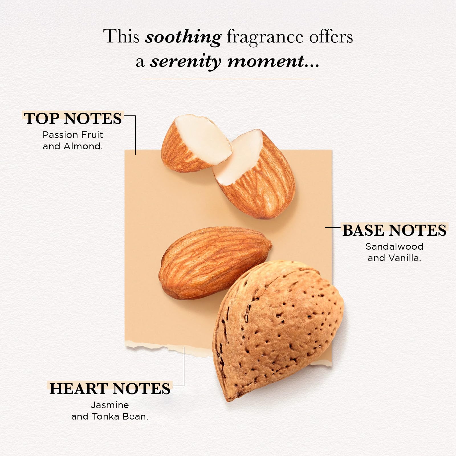 Solinotes Almond EDP for Women – Delicate Floral, Soothing Scent | Made in France | Vegan 0.5 fl oz
