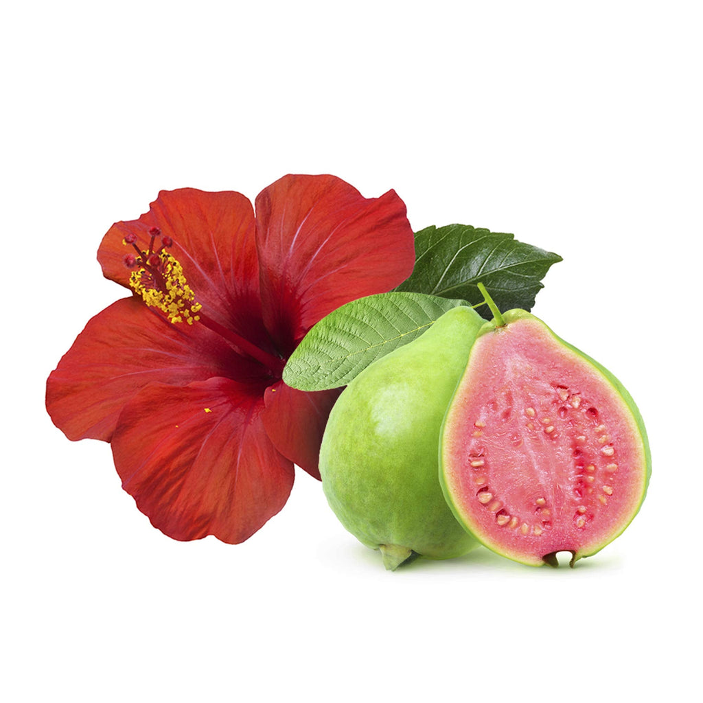 Sweet & Sassy 1 Shampoo Bar + 1 Conditioner Bar — Made in USA, SLS-Free, Plastic-Free, Color-Safe (Hawaiian Hibiscus)