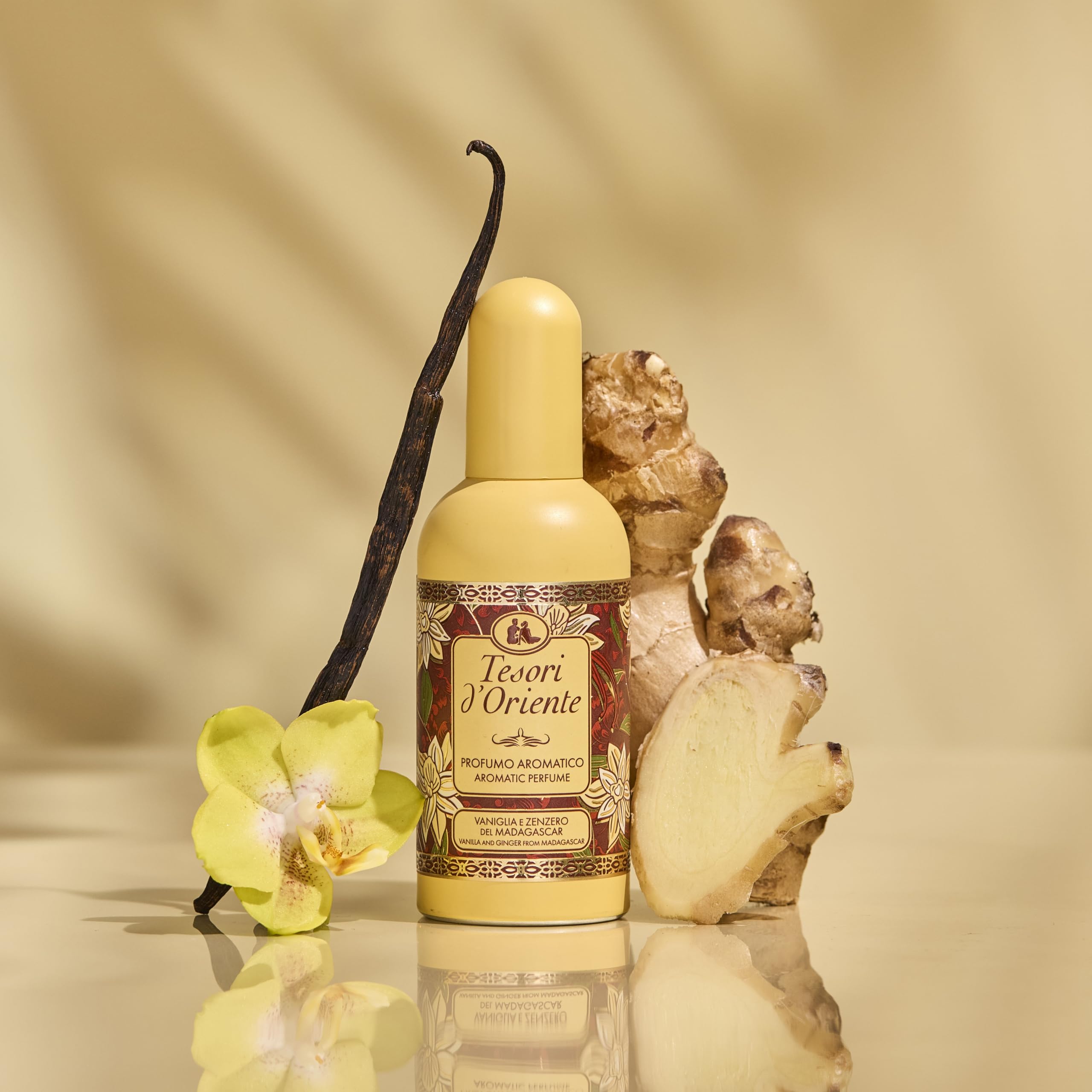 Tesori d'Oriente Vanilla and Ginger from Madagascar Perfume – 100ml | Italian Import