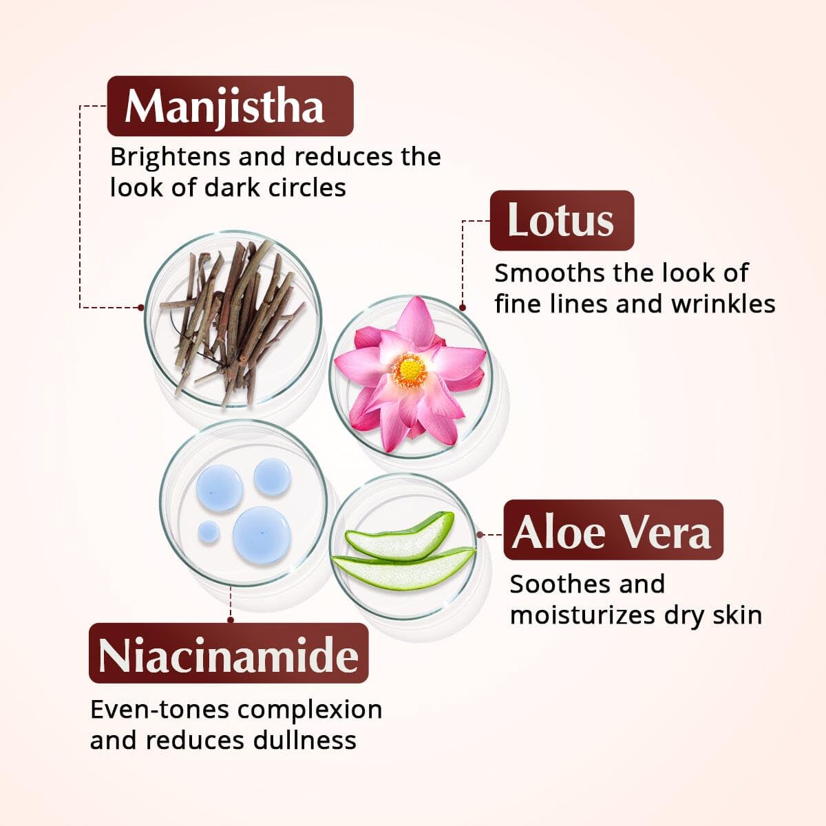 Rufolia Pro Eye Contour Cream by The Ayurveda Experience | Brightens Dark Circles, Firms & Lifts Droopy Eyelids