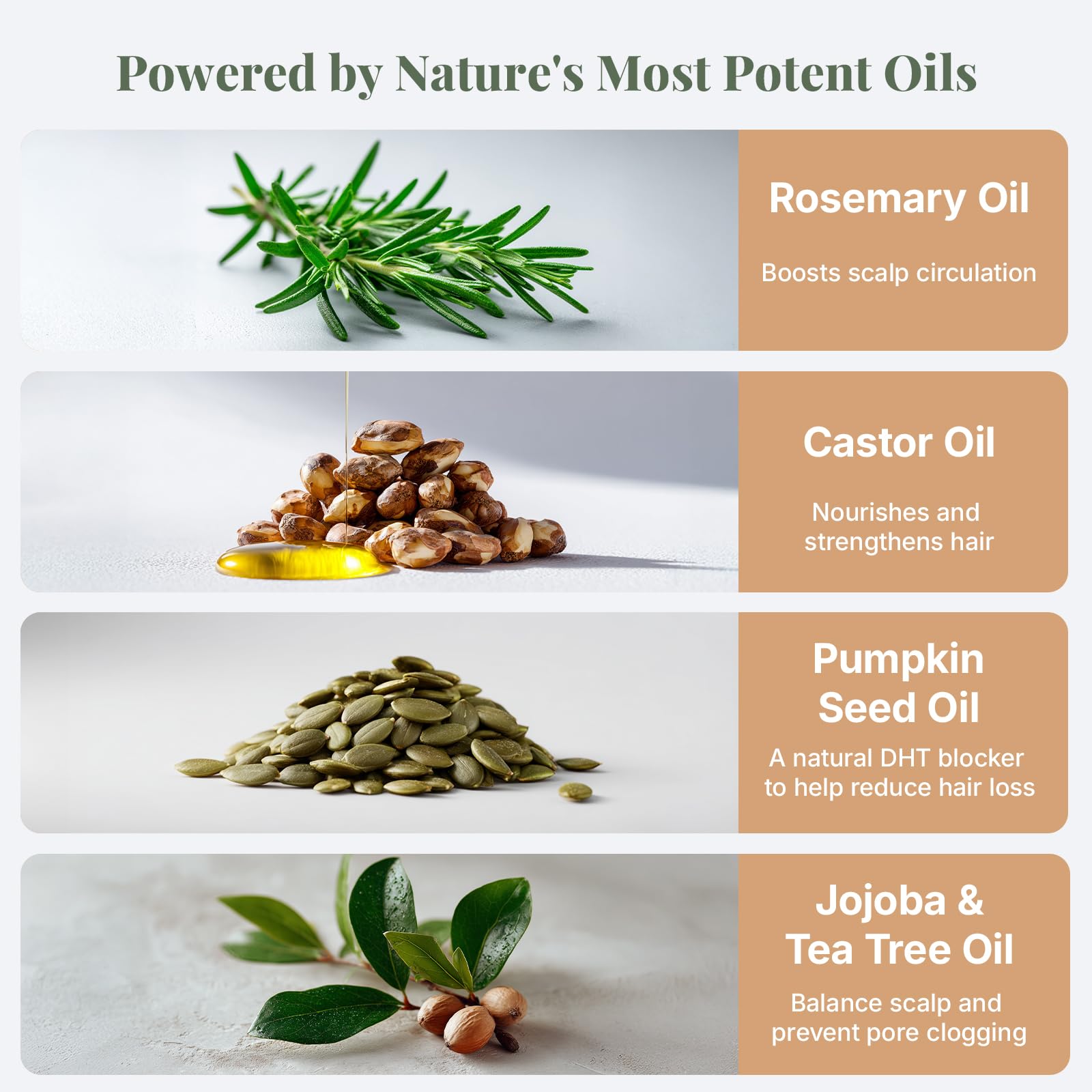 The ELIX USDA Organic Rosemary Oil for Hair Growth – Thickening Formula with Castor & Pumpkin Seed | Made in USA | 4oz