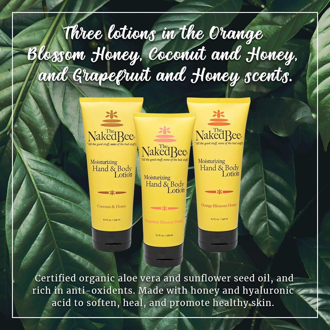 The Naked Bee 3-Pack Hand & Body Lotion — Orange Blossom, Grapefruit & Coconut Honey (6.7 oz each)