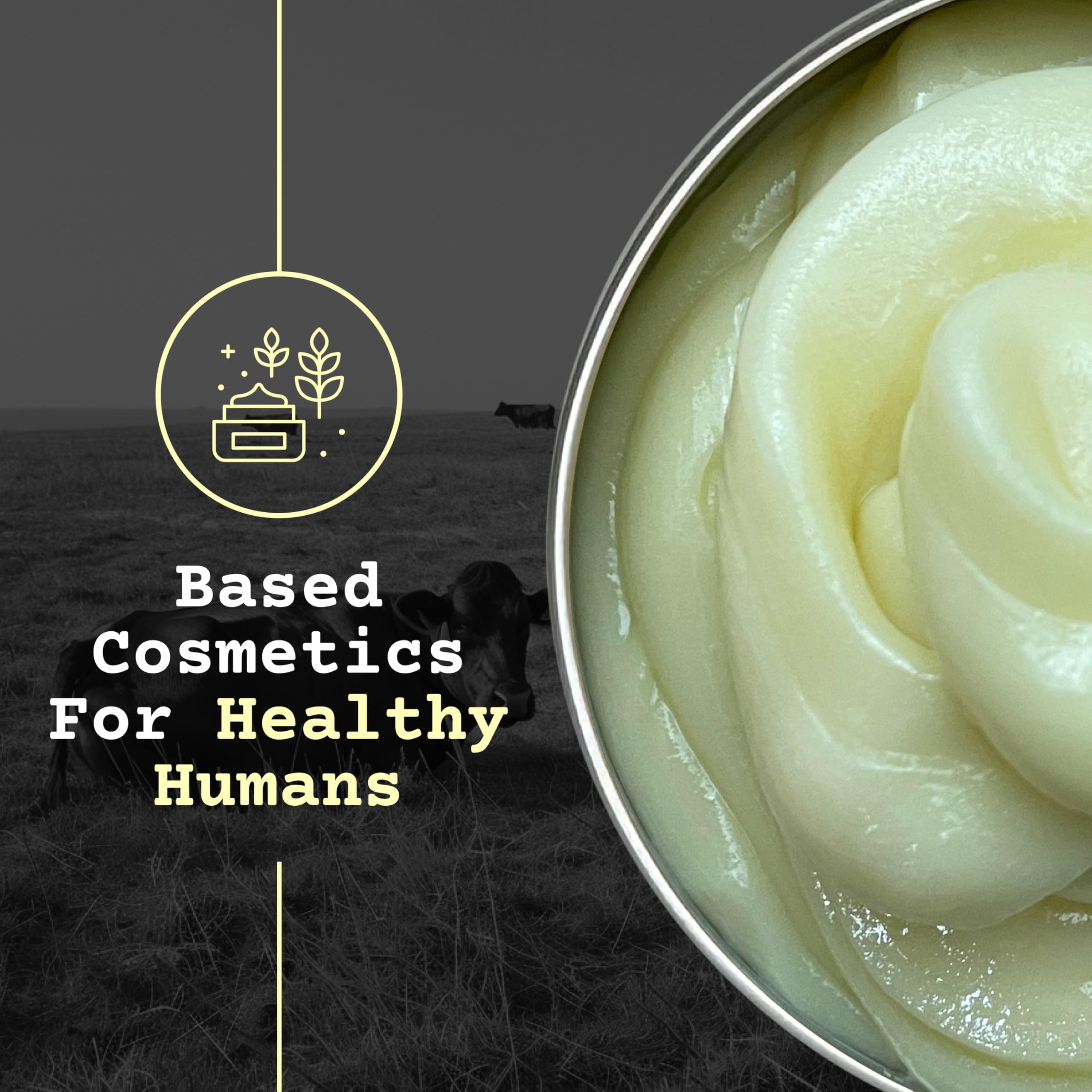 The Tallowed Truth F-Balm Whipped Body Butter – Grass-Fed Tallow Moisturizer