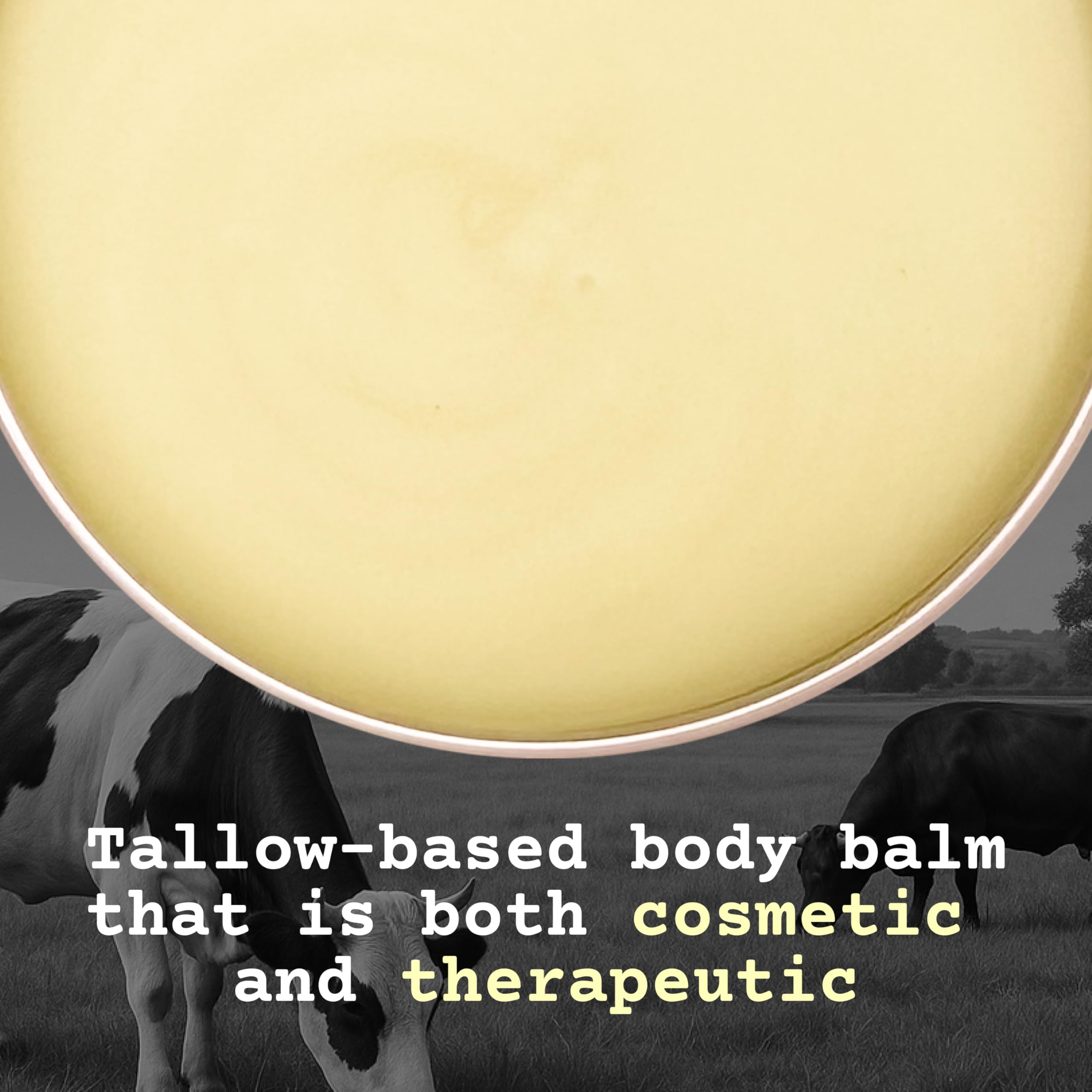 The Tallowed Truth F-Balm Tallow – Grass-Fed & Grass-Finished, 5-Ingredient All-Purpose Balm – 2 oz – Made in Canada