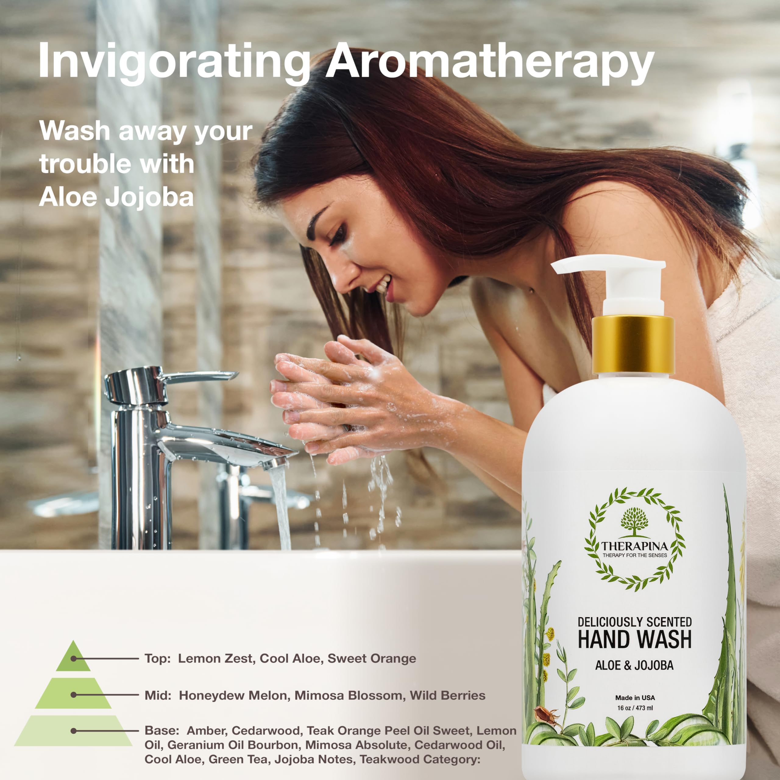THERAPINA Aromatherapy Luxury Liquid Hand Soap – Vegan Aloe Vera & Botanical Oils (16 oz)