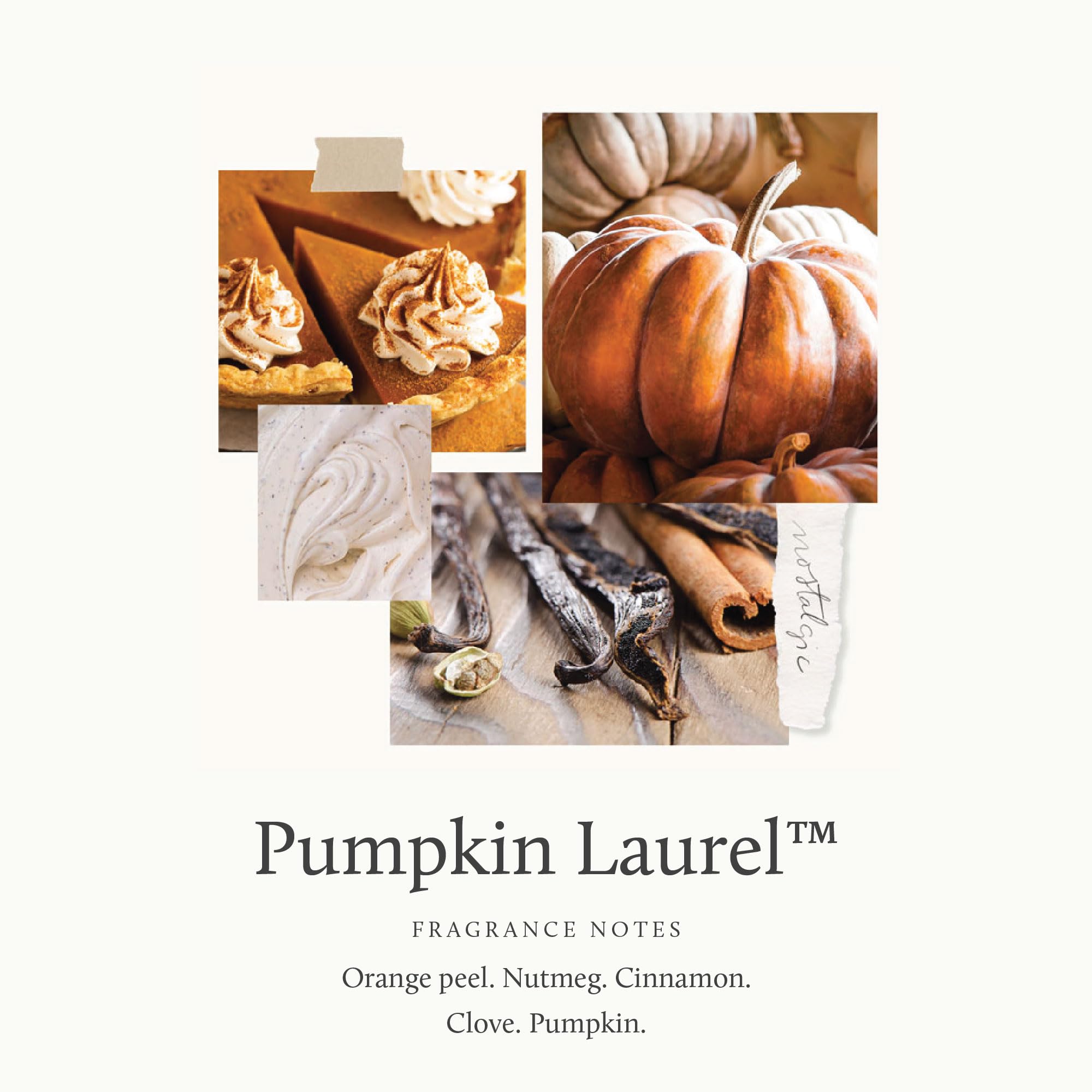 Thymes Foaming Hand Wash with Aloe & Glycerin – Fall Scented Pump Soap, Pumpkin Laurel, 10.3 fl oz