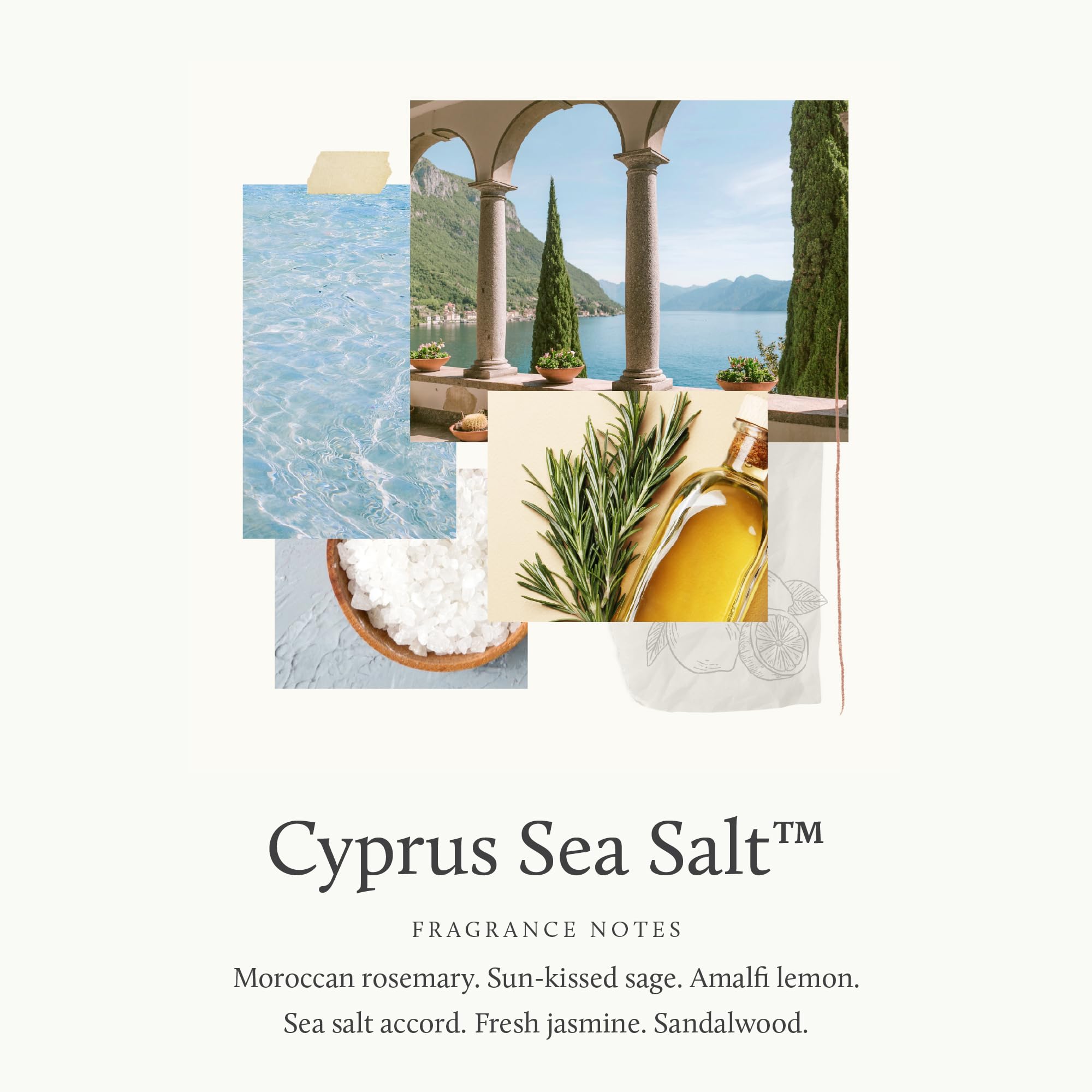 Thymes Cyprus Sea Salt Large Hand Wash (15.0 fl oz) – Hydrating Botanically Based Hand Soap