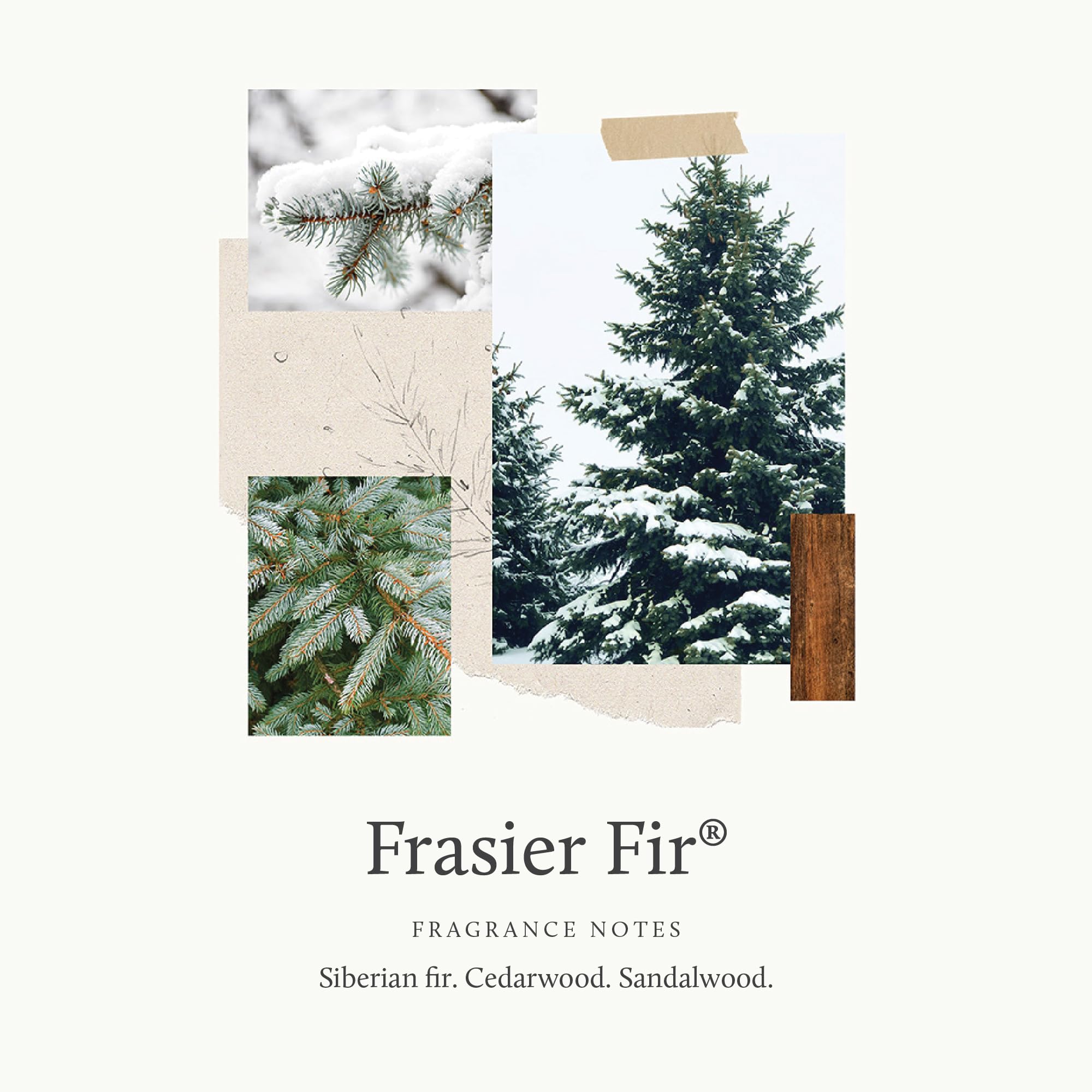 Thymes Hand Wash Frasier Fir - 15 Fl Oz