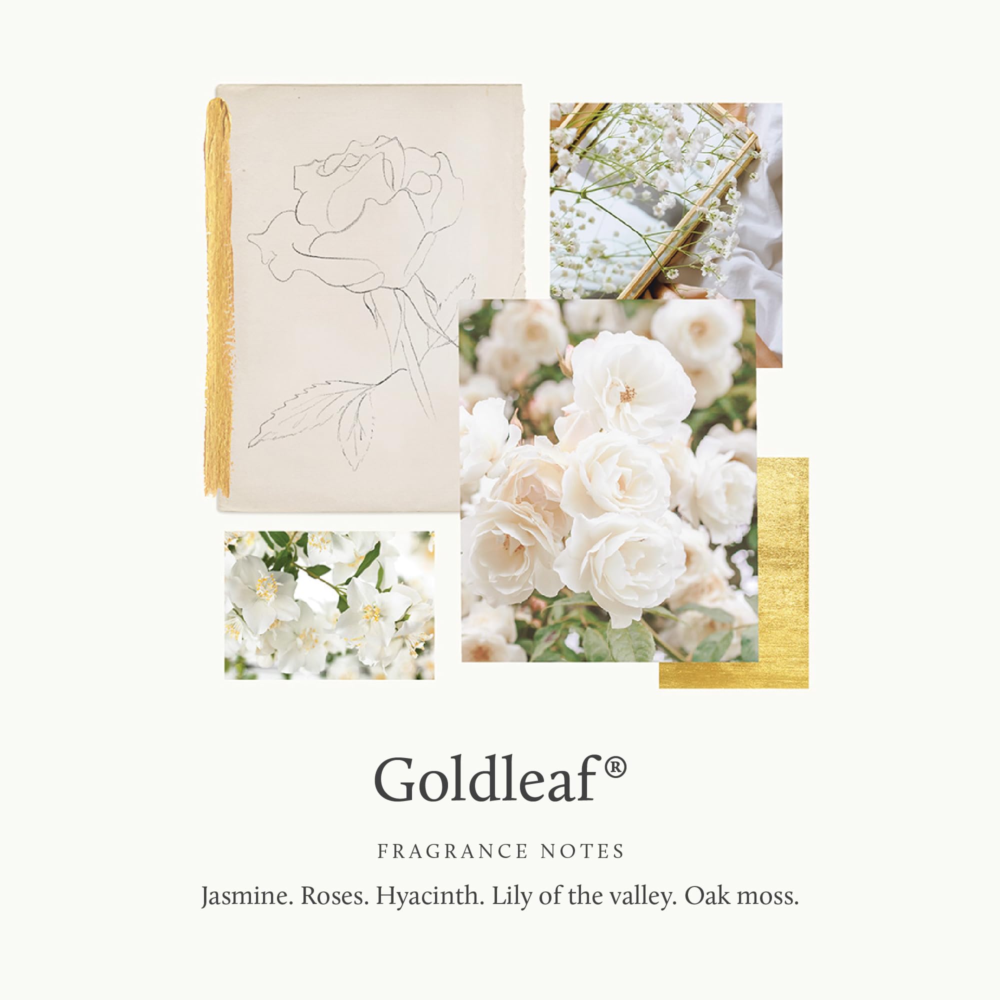 Thymes Goldleaf Hand Wash – 15 Fl Oz | Luxurious Floral Fragrance & Hydration