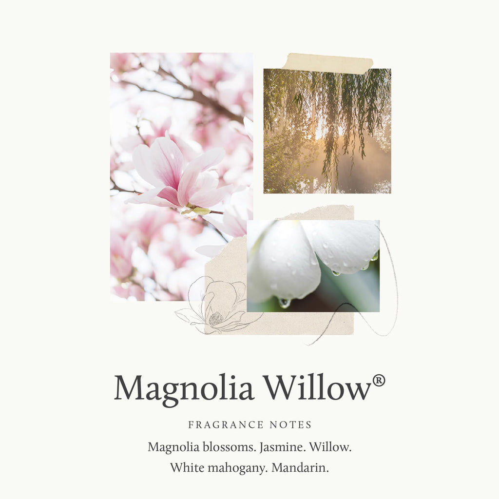 Thymes Hand Wash Large – Magnolia Willow, 15 oz | Refreshing Floral Cleanse