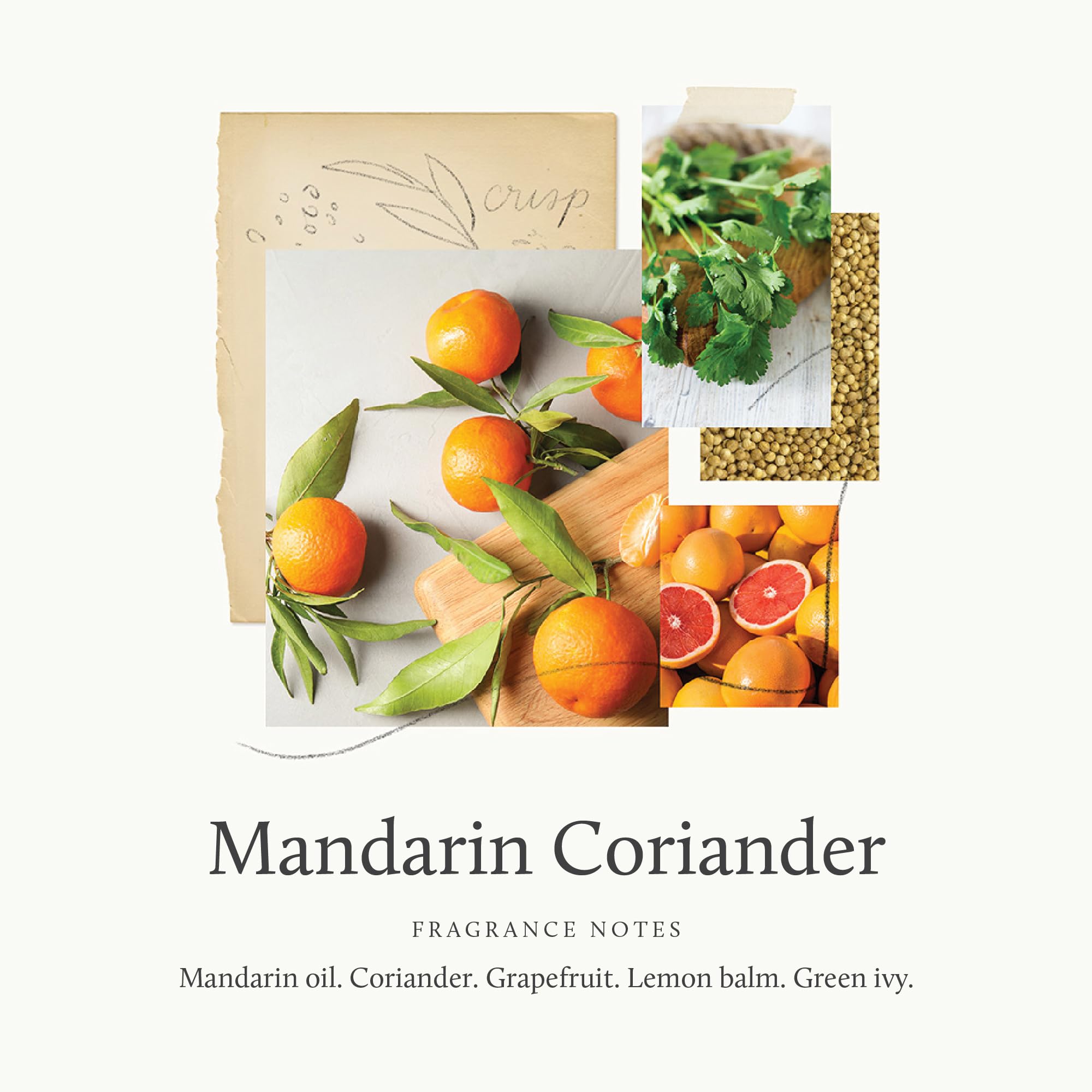 Thymes Hand Wash Refill – Mandarin Coriander Citrus, Plant-Based Hydrating Formula