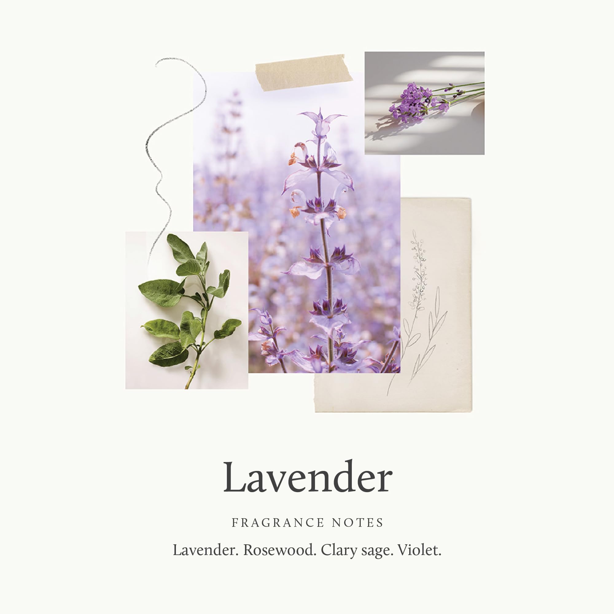 Thymes Large Replenishing Body Lotion – Lavender & Rosewood, 16 oz