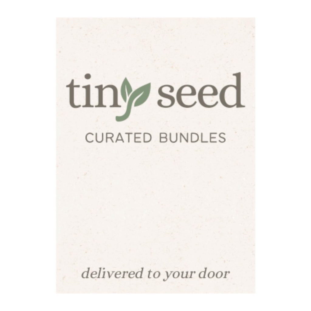 TINY SEED Lip Balm Gift Set | Aloha Coconut 4-Pack + Holder Keychain
