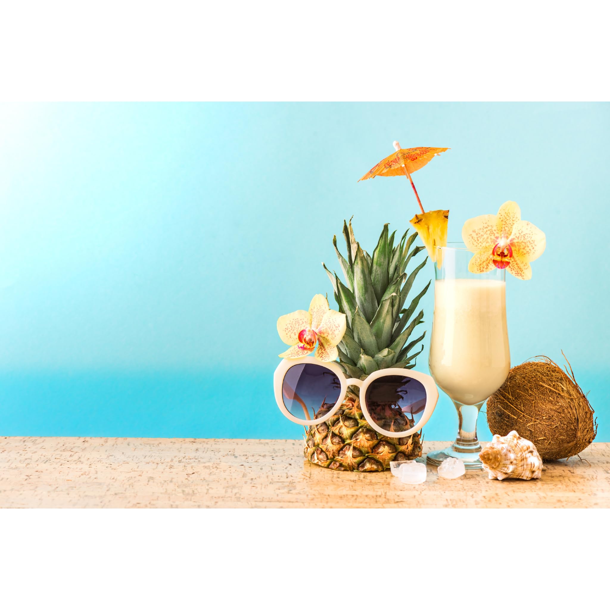 TINY SEED Lip Balm Gift Set | Aloha Coconut 4-Pack + Holder Keychain