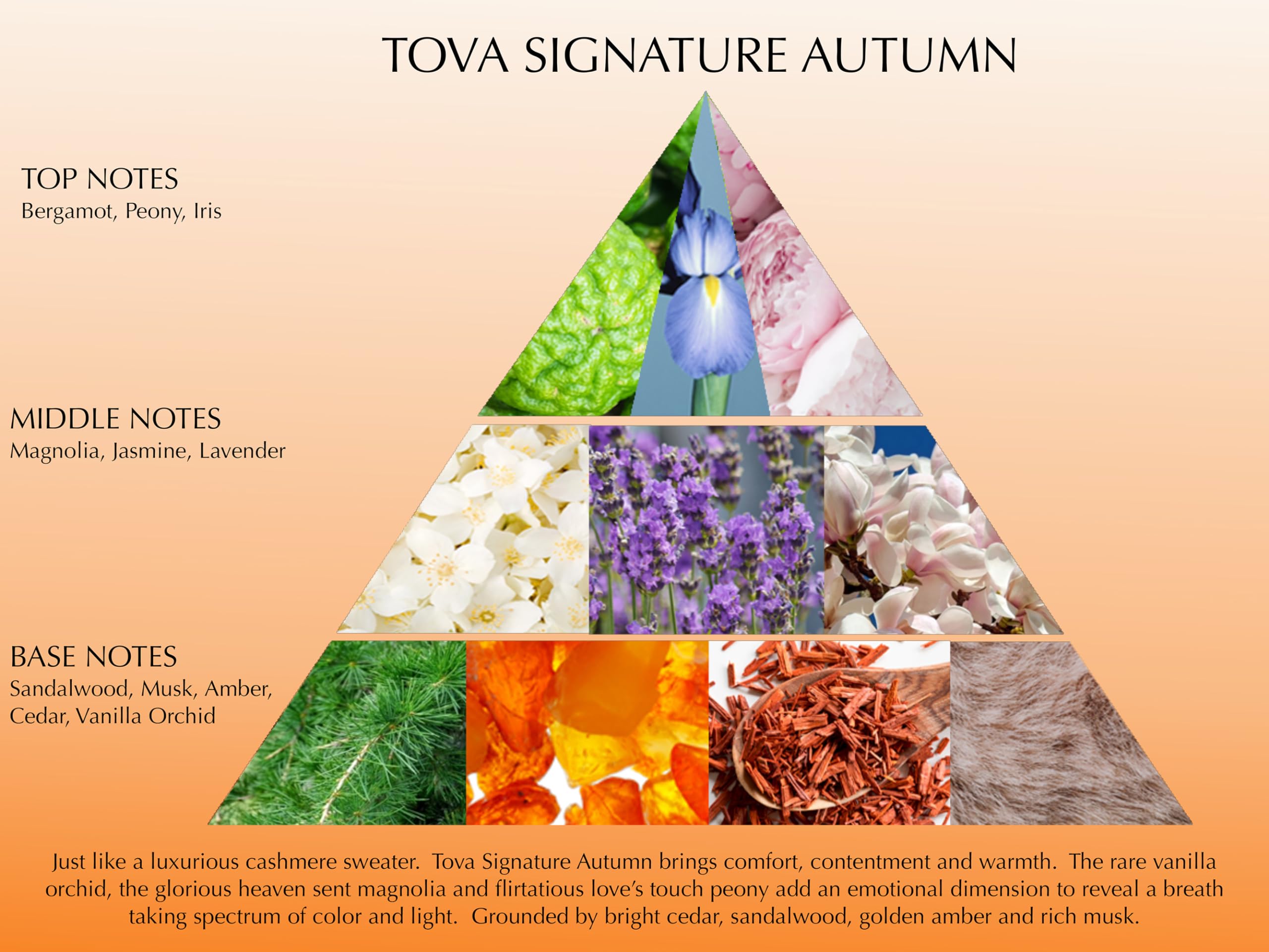 Tova Signature Autumn Eau de Parfum – Crisp Floral Amber for Women, 3.4 fl oz | USA-Made & Cruelty-Free