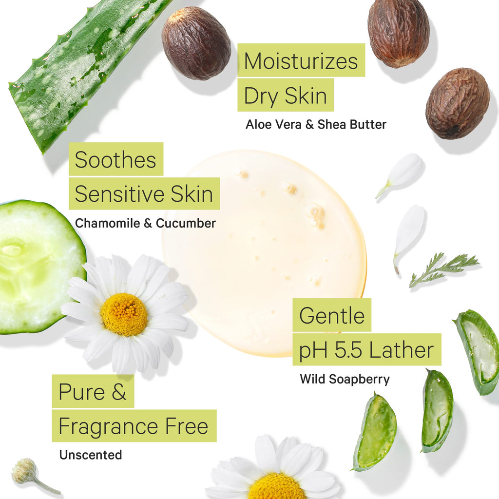Tree to Tub Unscented Body Wash for Sensitive Skin – Moisturizing, Fragrance-Free & Sulfate-Free