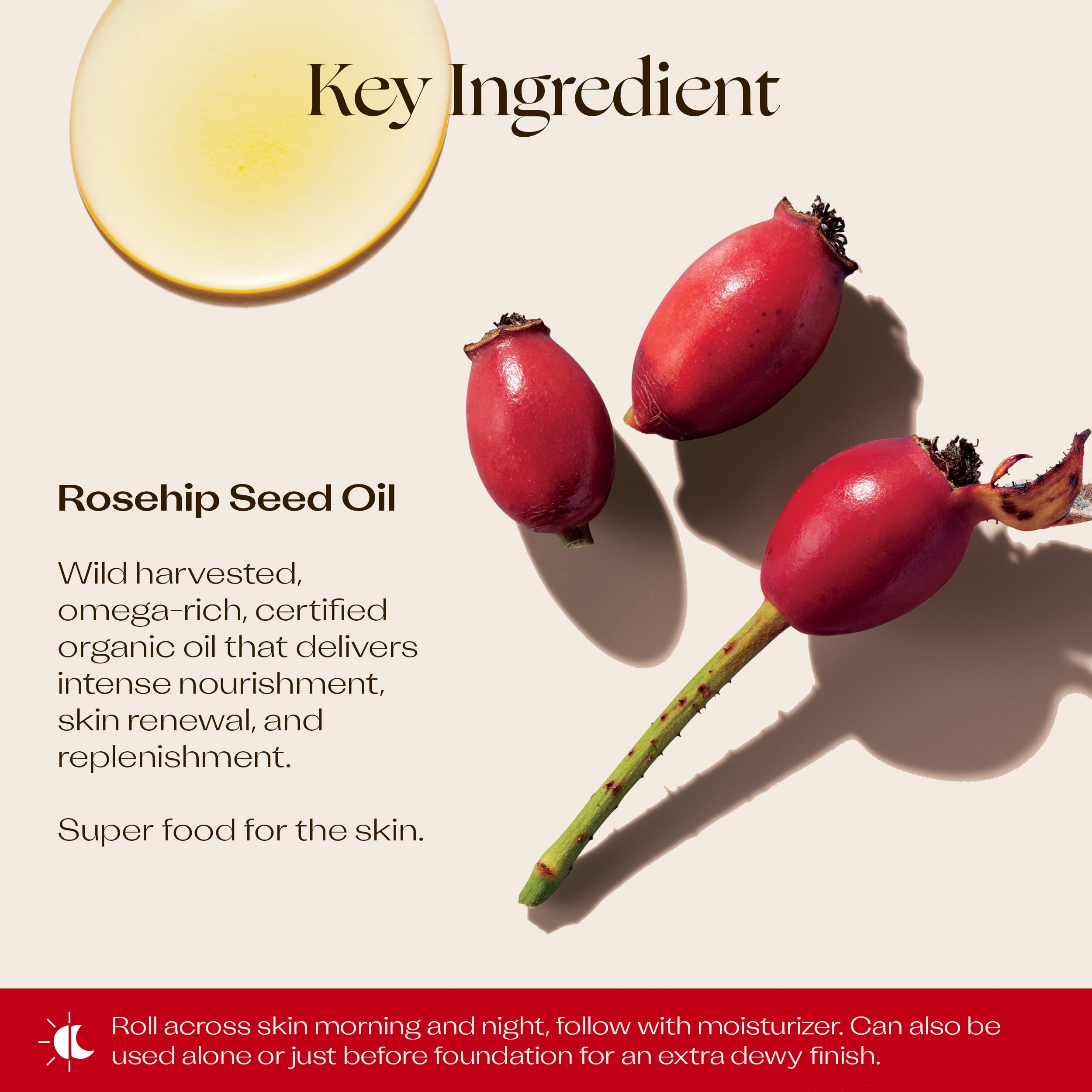 Trilogy Certified Organic Rosehip Oil – Intensive Nourishment for Dry Skin, Scars, and Fine Lines | 0.34 fl oz