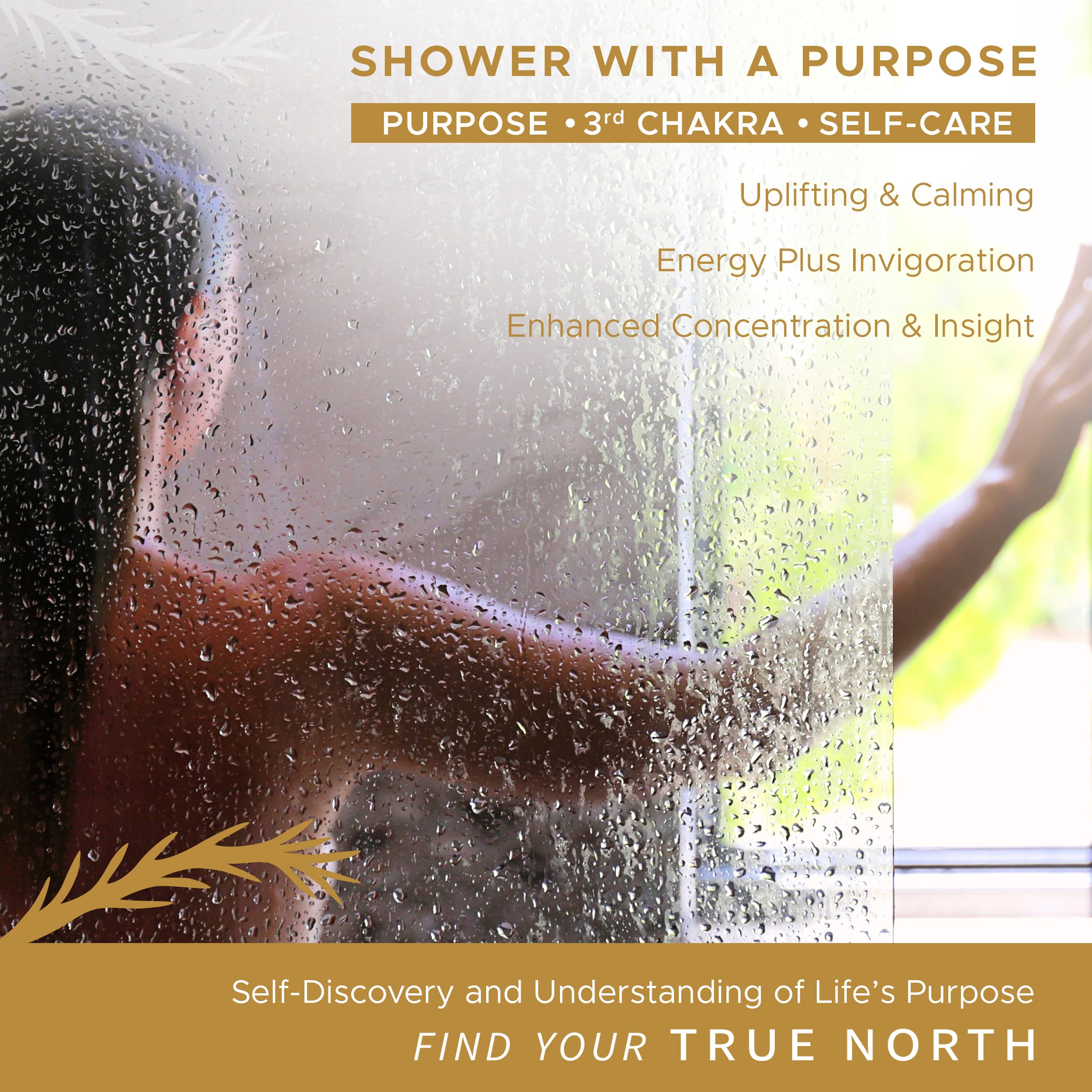 True North Botanicals Large Shower Steamers – Chakra Harmony 12-Pack