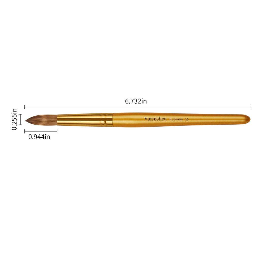varnishea Kolinsky Acrylic Nail Brush with Golded Solid Wood Handle – Size 16
