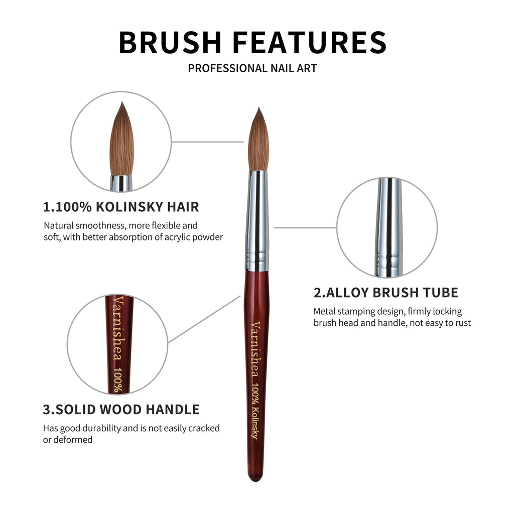 varnishea 100% Pure Kolinsky Acrylic Nail Brush – Solid Wood Handle, Size 8, 1.0 Count – Professional Manicure & DIY Nail Art