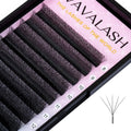 VAVALASH W-shaped 5D Premade Fans 0.07 C Curl Matte Black Volume Lashes – Easy Fanning