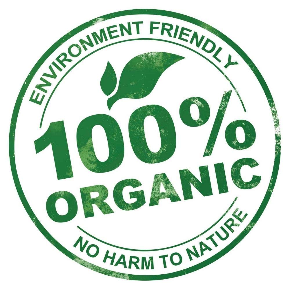 Vera Botanics Organic Chia Seed Oil – 100% Pure, Cold-Pressed, Unrefined