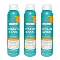 Village Naturals Therapy Wellness Hydrate & Cool Body Spray - Vitamin C, Menthol & Hyaluronic Acid - Full Body Cooling Mist (Pack of 3 Cans, 4 oz Each)