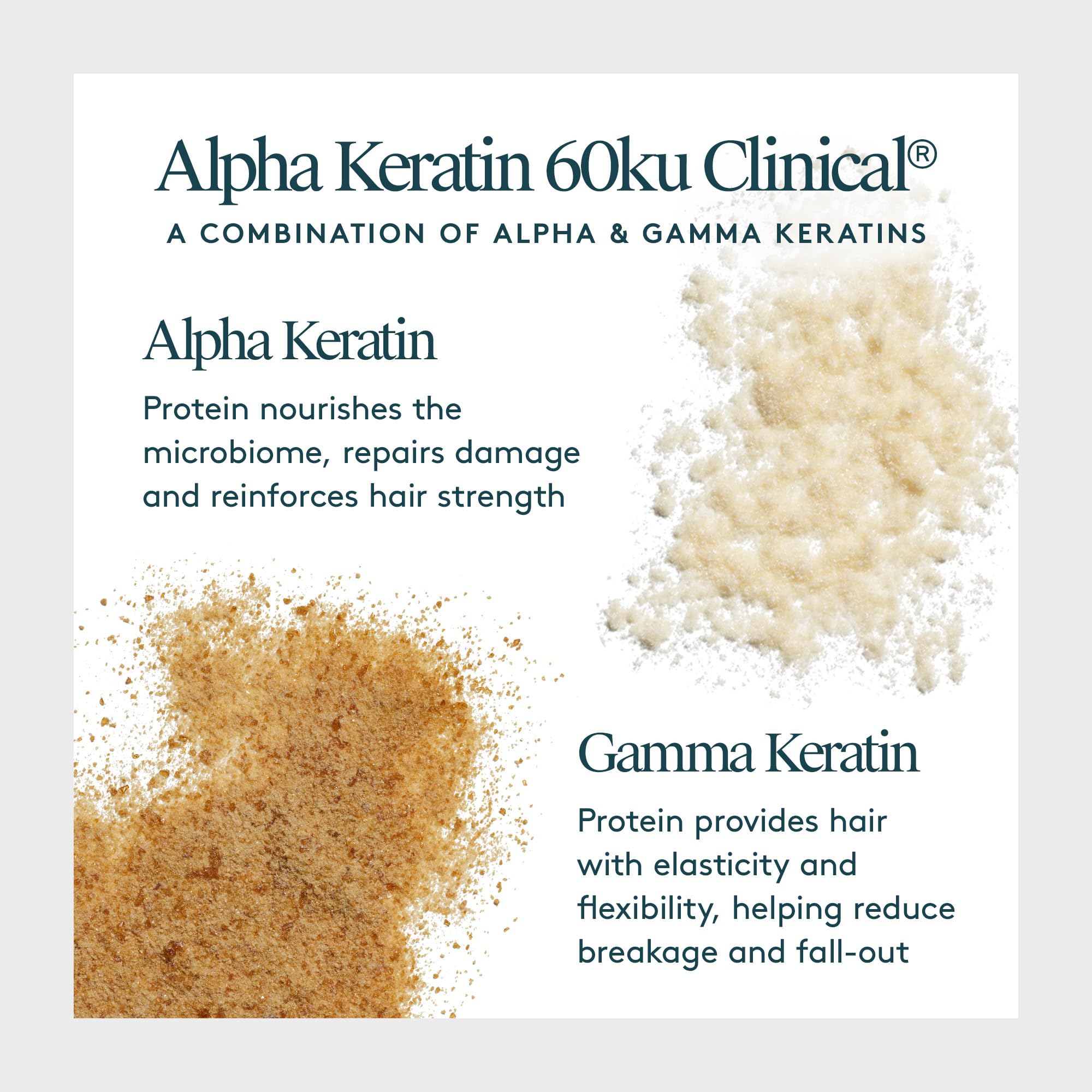 Virtue Flourish Hair Growth Regimen for Women | Minoxidil 5% Foam, Sulfate-Free & Color-Safe