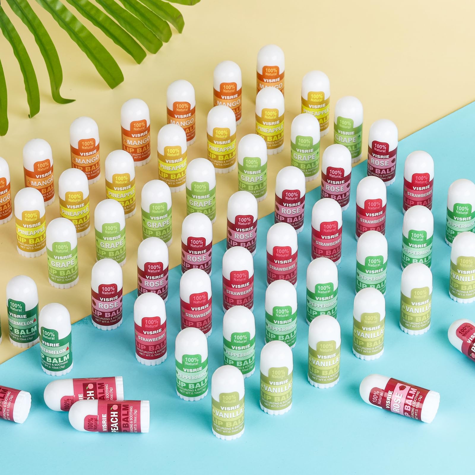 VISRIE Mini Lip Balm 60 Pack – Natural Lip Care with Vitamin E & Coconut Oil, 10 Flavors