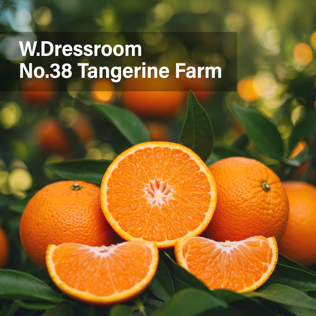 W.Dressroom Moisturizing Hand Cream – Non-Greasy, Quick-Absorbing Korean Hand Lotion, Travel Size 1.69 fl oz (50 ml) Tangerine Farm