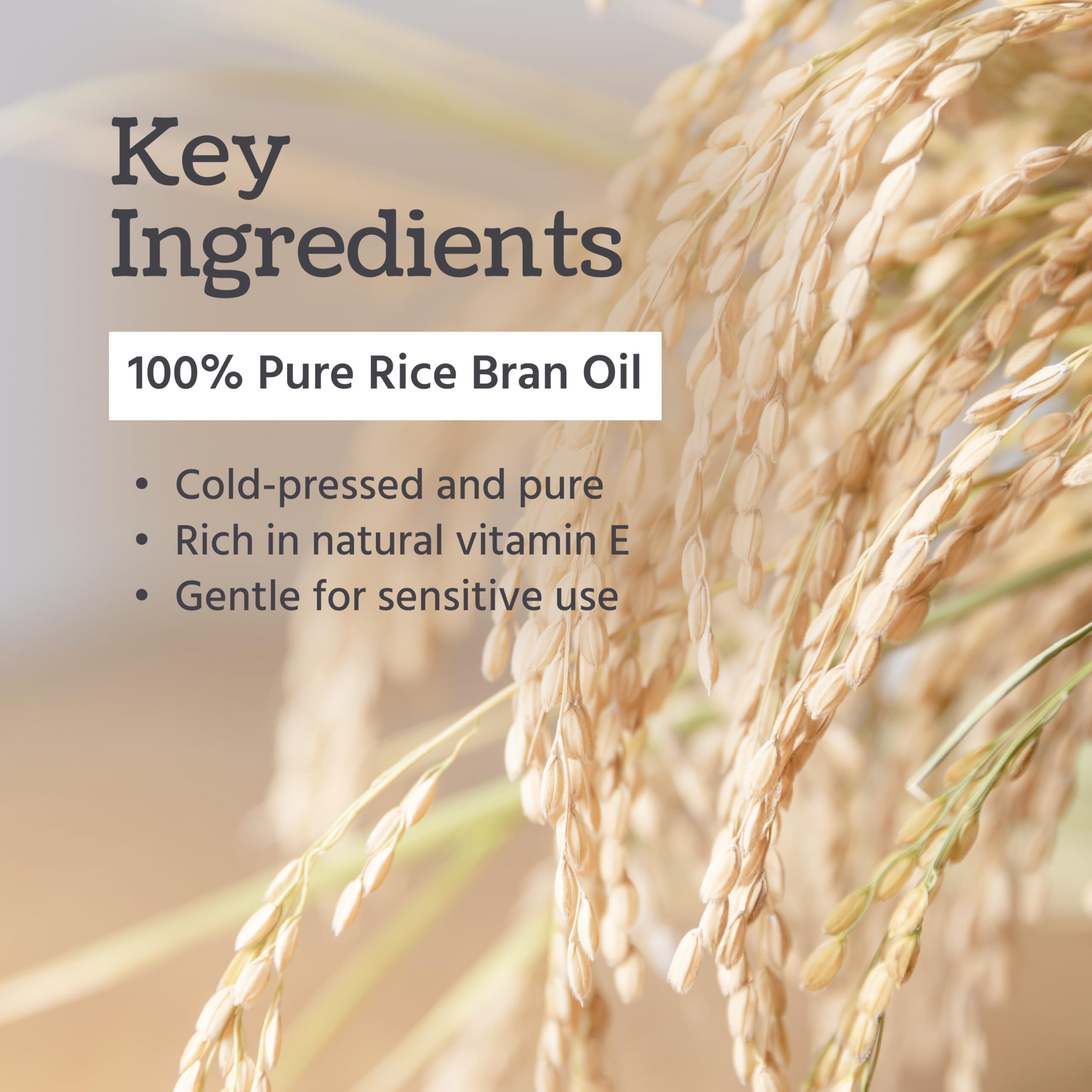 Well's Oil Rice Bran Oil — 100% Pure Carrier Oil, Refined & Cold Pressed, For Body, Skin & Hair (8 fl oz / 237 ml) Pack of 2