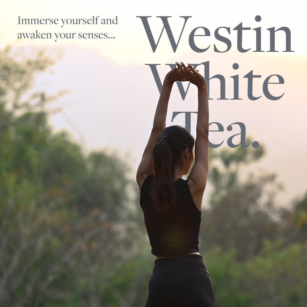 Westin White Tea Aloe Shampoo – Hydrating, Antioxidant Formula for All Hair Types | Signature White Tea Scent