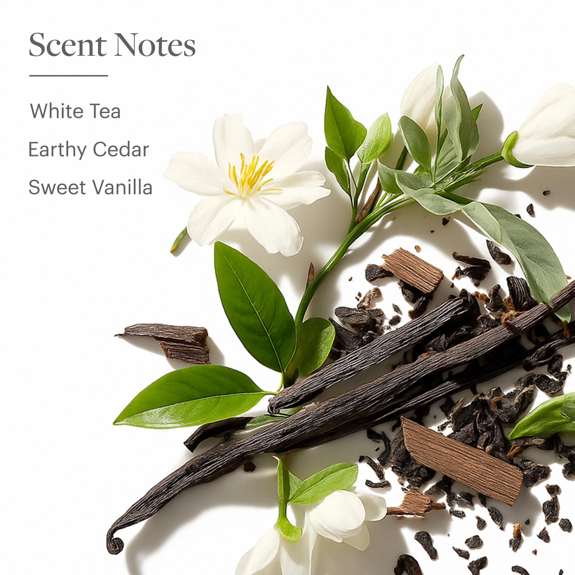 Westin White Tea Aloe Shampoo – Hydrating, Antioxidant Formula for All Hair Types | Signature White Tea Scent