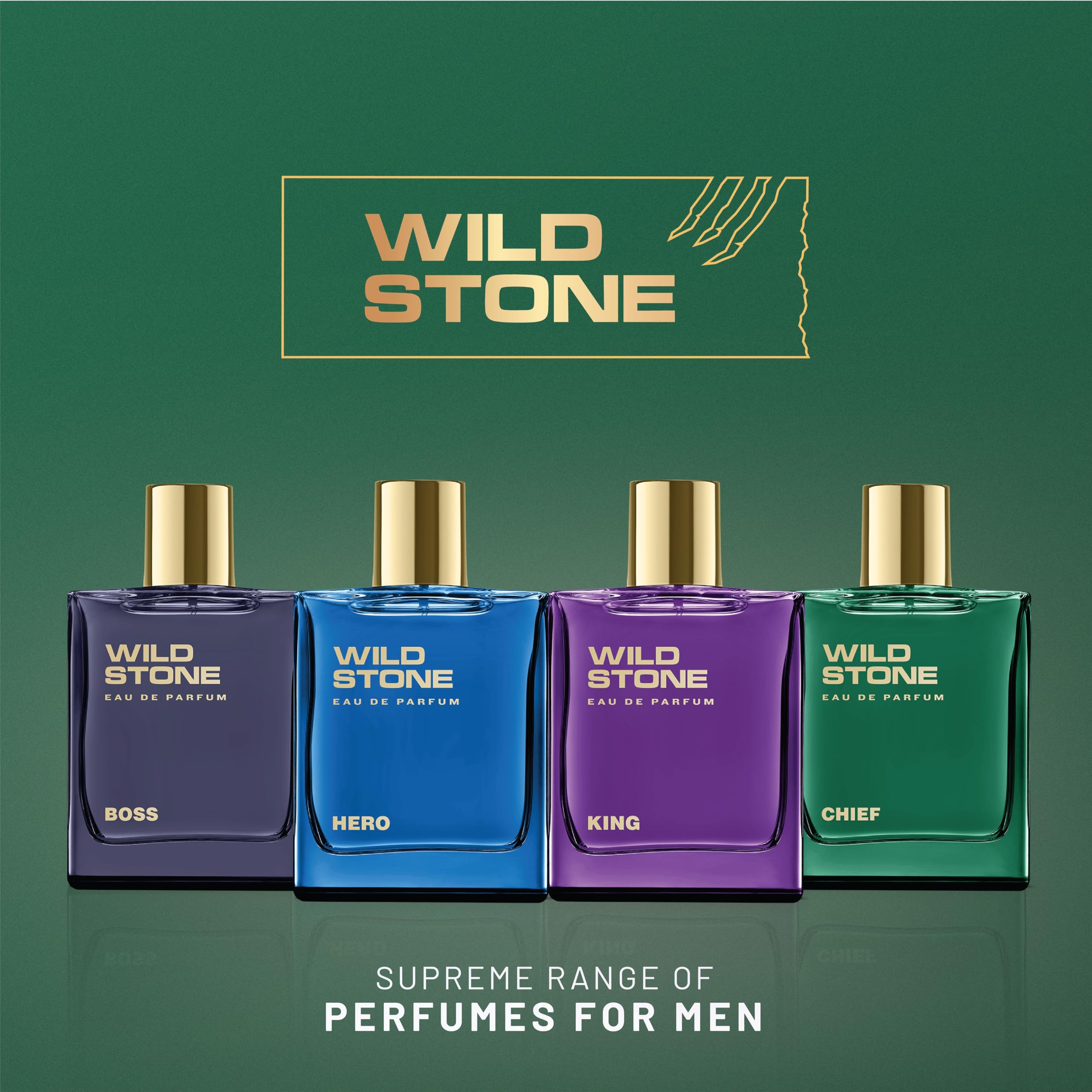 Wild Stone Chief EDP for Men – Luxury Aquatic-Woody Perfume, 100 ml
