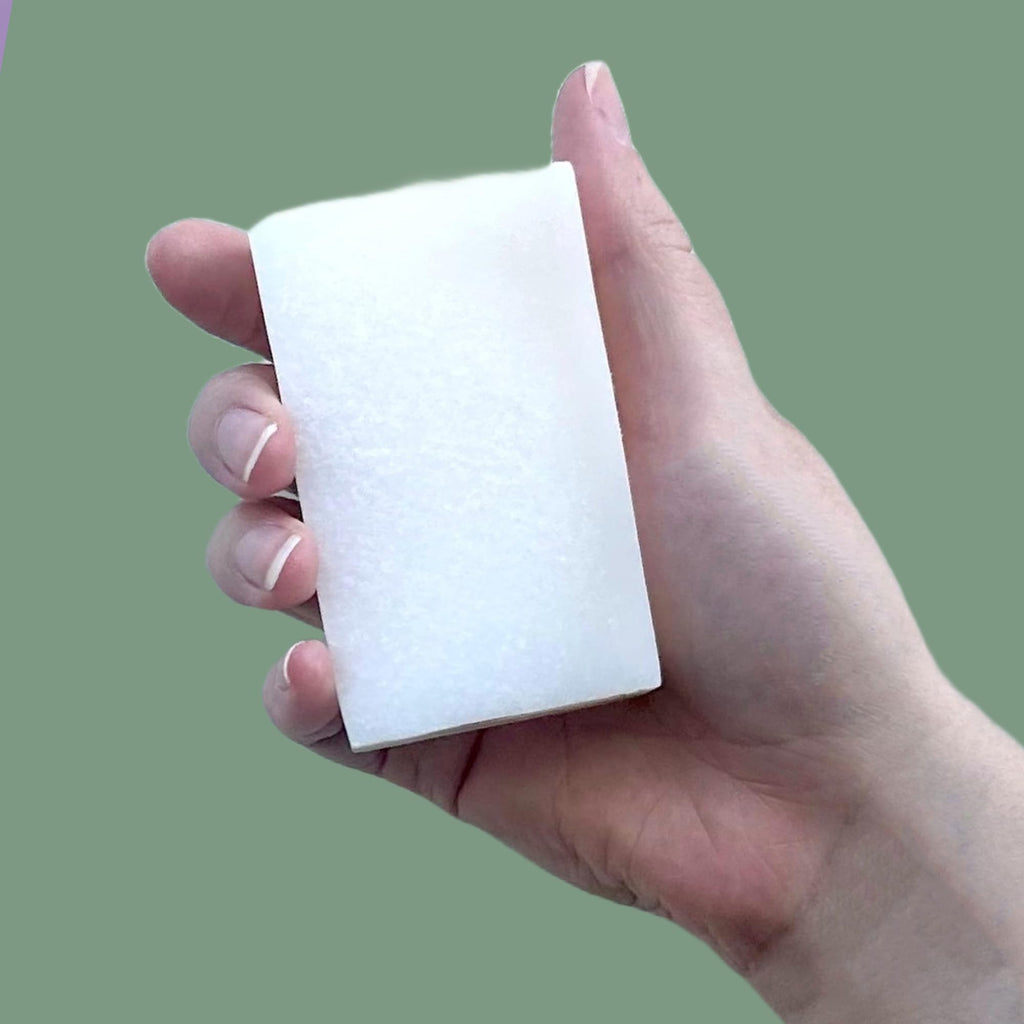 XO COCONUT Coconut Oil Bar Soap - Handcrafted Organic Vegan with Eucalyptus, 2 Bars (4 oz each)