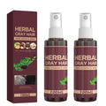 YG LianKai 2Pcs Herbal Essence Hair Spray – Gray Hair Verse Essence Spray, Gradual Natural Hair Darkening (100ml)