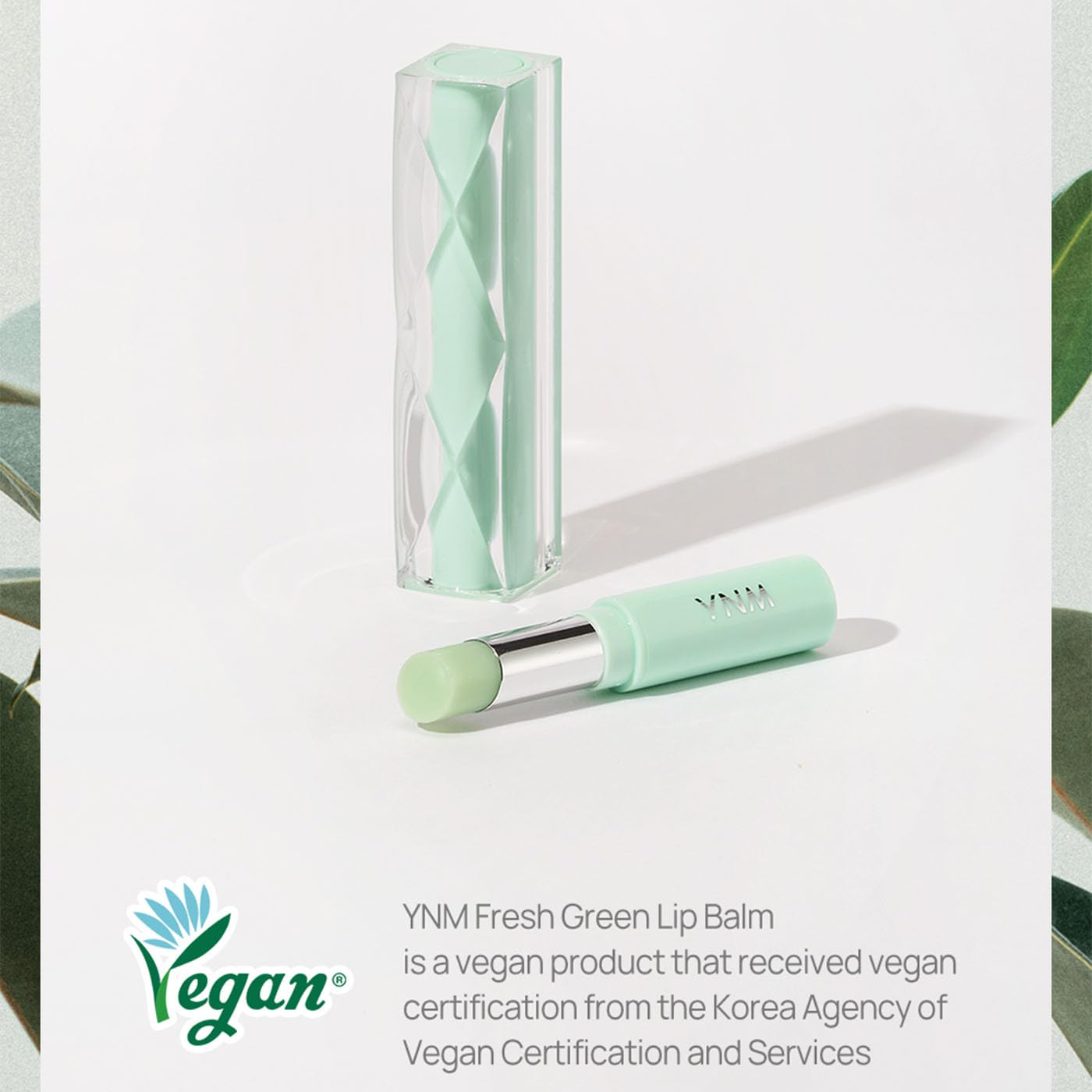 YNM Fresh Green Lip Balm – Vegan, Fragrance-Free with Centella & Ceramide NP