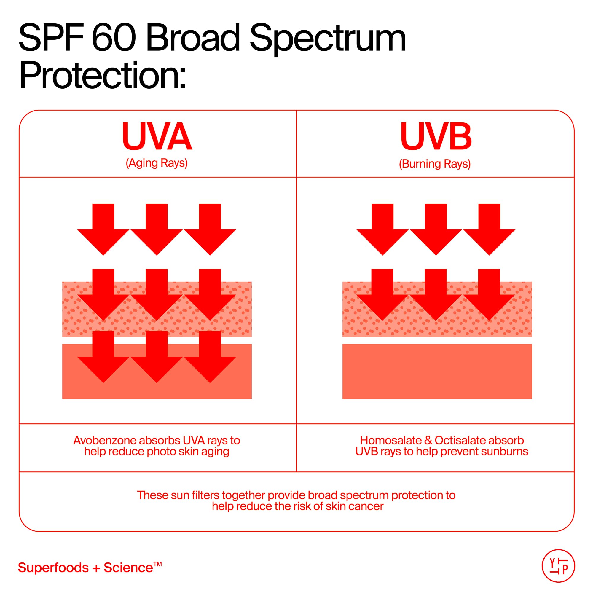 Youth To The People Youthscreen Sunscreen SPF 60 | Daily Hydration + Pollution Defense