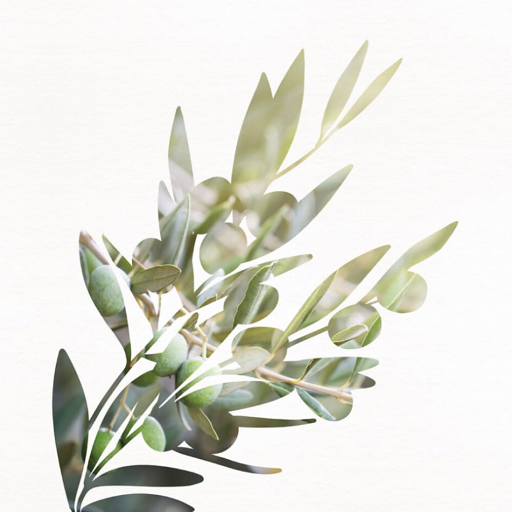Yves Rocher Relaxing Olive & Petitgrain Body Milk Lotion — 390 ml
