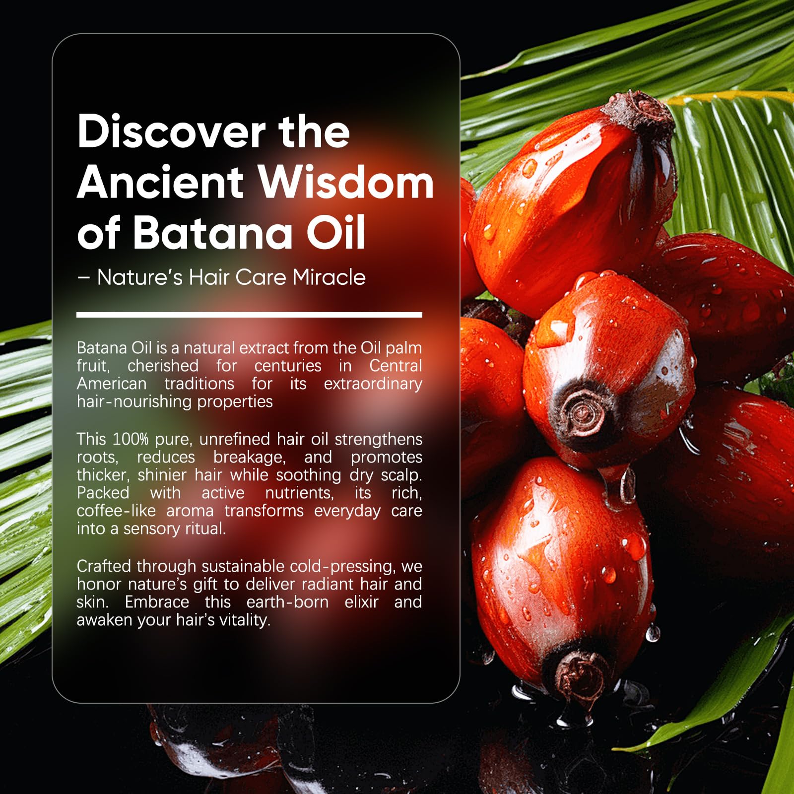 ZENTRIXA Batana Oil for Hair – 100% Raw, Cold-Pressed & Organic (8 oz)
