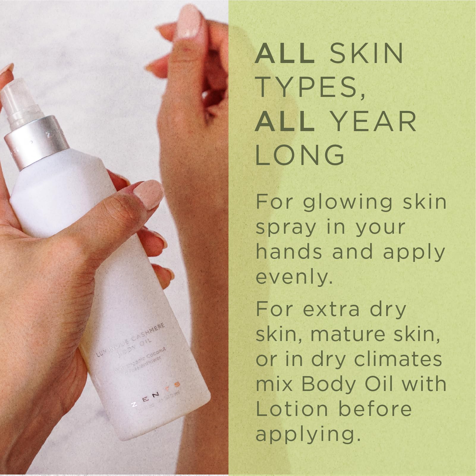 Zents Luminous Cashmere Body Oil (Oolong) | Vitamin E & Organic Coconut Oil | Softens & Smooths Skin | 8 fl oz