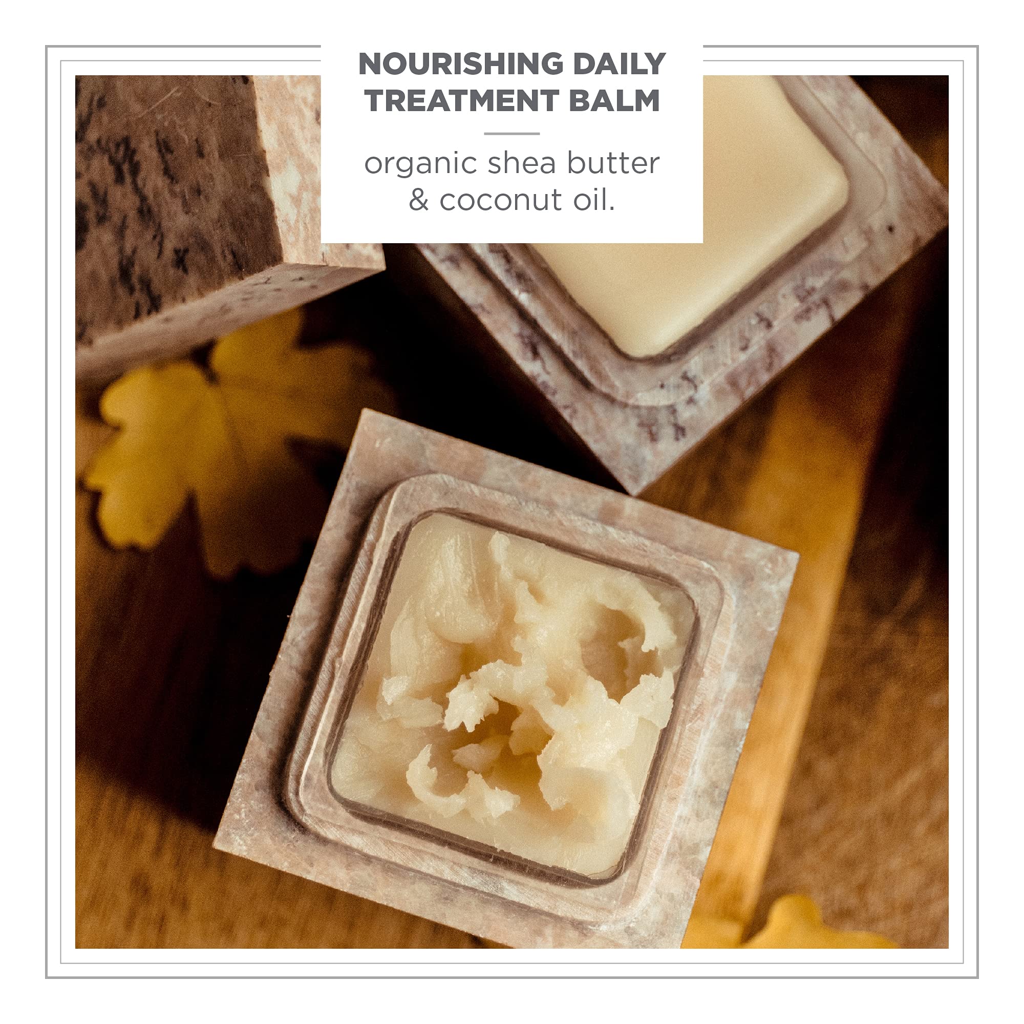Zents Concreta Firming Repair Balm & Solid Parfum (Oolong) | Moisturizing Shea Butter & Coconut Oil | 1.25 fl oz