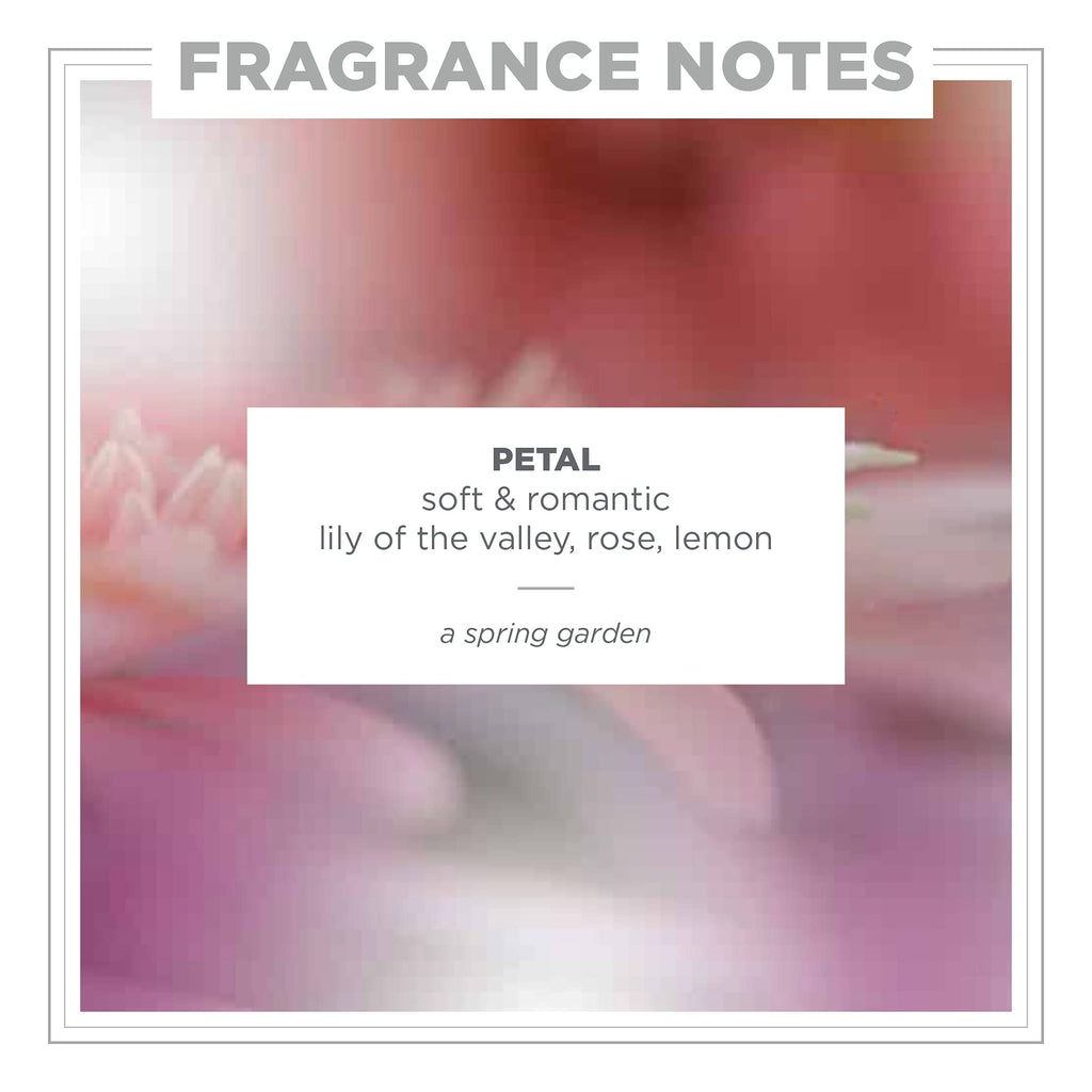 Zents Concreta Firming Repair Balm & Solid Parfum (Petal) | Moisturizing Shea Butter & Coconut Oil | 1.25 fl oz